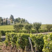 Château Troplong Mondot